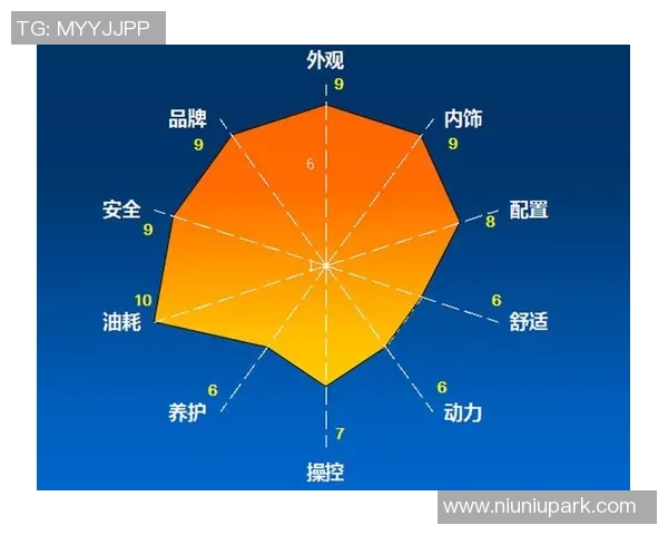 武汉排球队的转型之路：从传统到创新的全面革新探讨